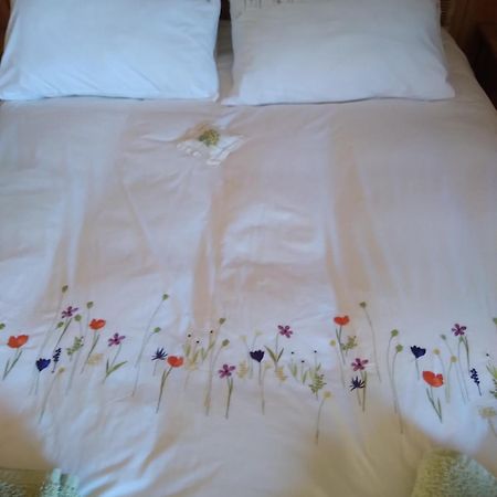 Les Dames De La Saugiat Bed & Breakfast Le Fied Екстериор снимка
