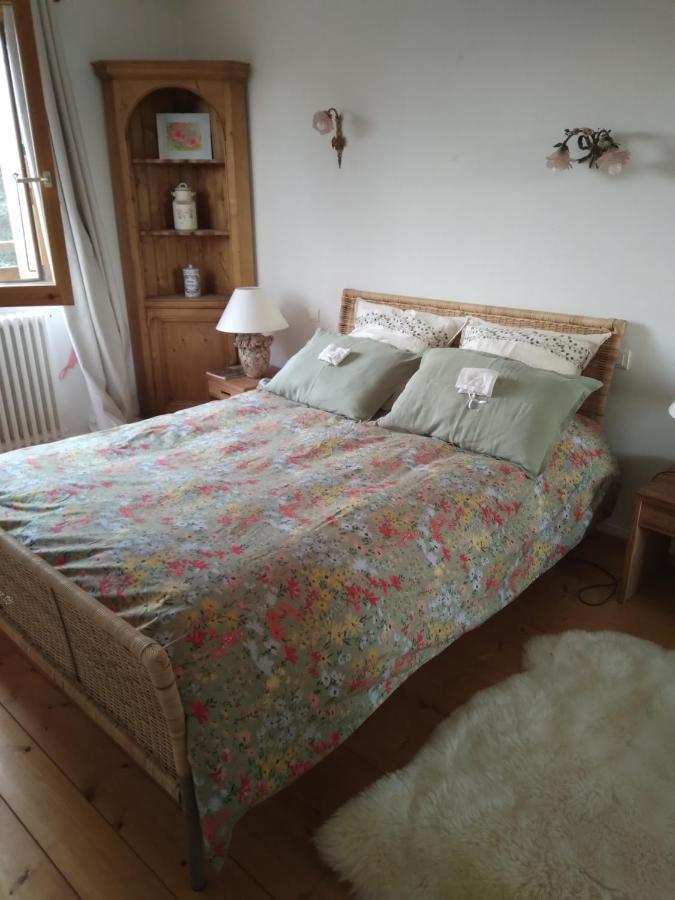 Les Dames De La Saugiat Bed & Breakfast Le Fied Екстериор снимка